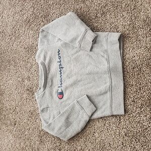 Champion sweater